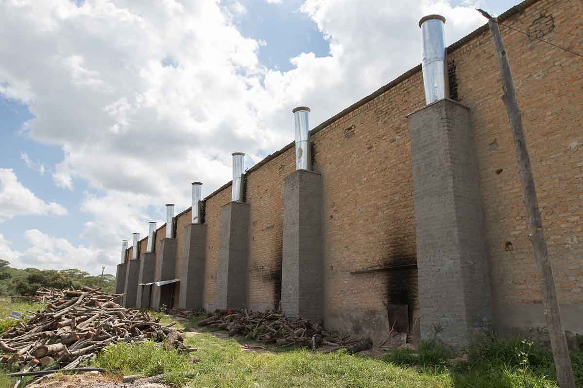 A Zimbabwean flue-cured tobacco facility has eight chimneys and a large pile of firewood.
